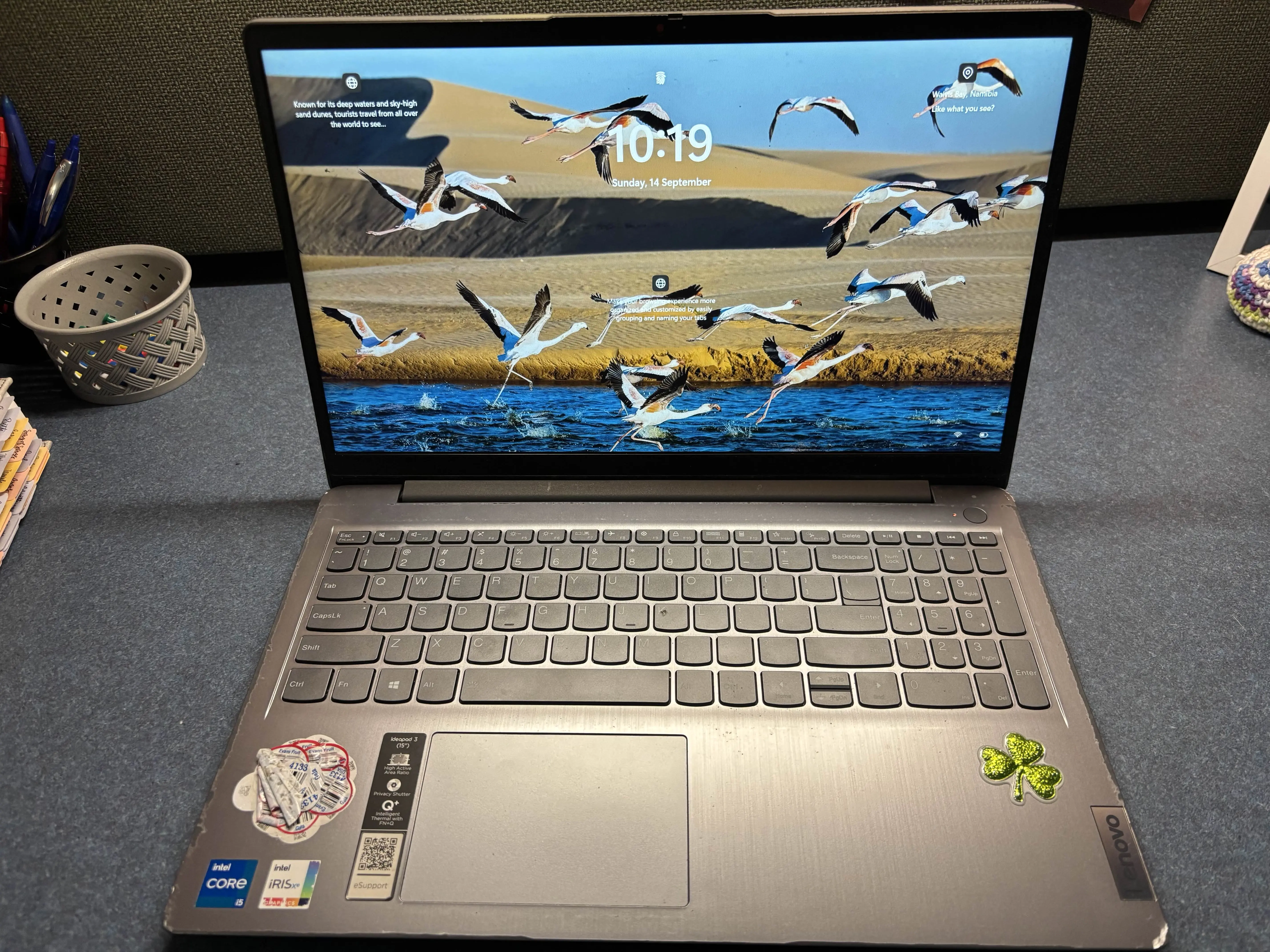 Katie's old laptop, seated upon her clean desk, struggling on. Although, you can't tell how broken the hinge is or the parts that her kitten chewed. I swear, it's in worse condition than it looks.